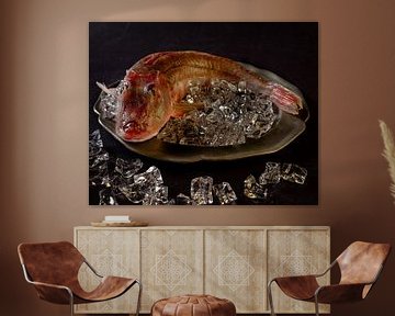 Red gurnard by Ruurd Peppel