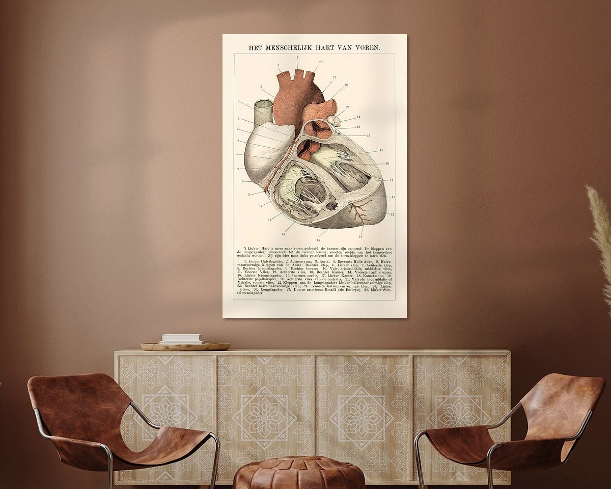 Aperçu de la chambre