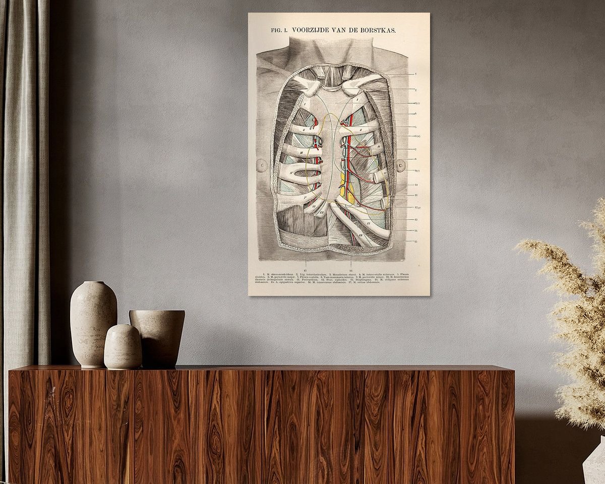 Aperçu de la chambre