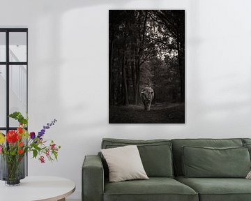 Ecossais dans la forêt | Noir et blanc sur Marika Huisman fotografie