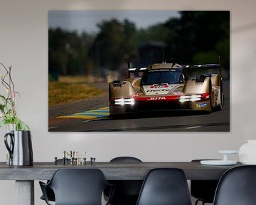 Porsche in Le Mans von Rick Kiewiet