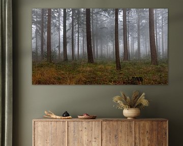 Mystieke sfeer in het bos door de mist van Jan van der Vlies