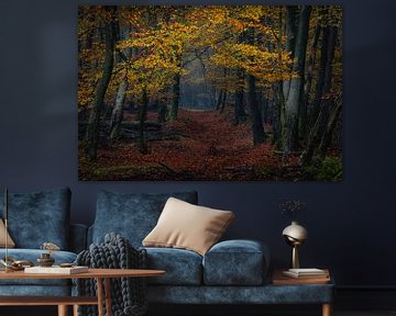 Autumn tones van John Goossens Photography