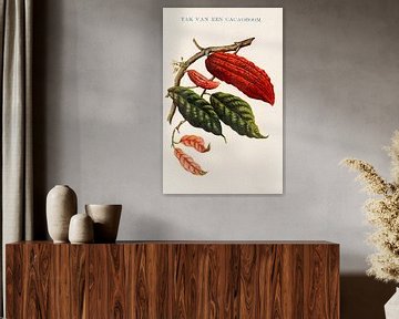 Imprimé botanique vintage avec branche de cacaoyer sur Studio Wunderkammer