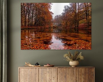 Herfst in volle glorie in park Zypendaal Arnhem van Daniëlle Langelaar Photography
