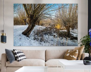 Willows in the sun on a snowy day van Marco Schep