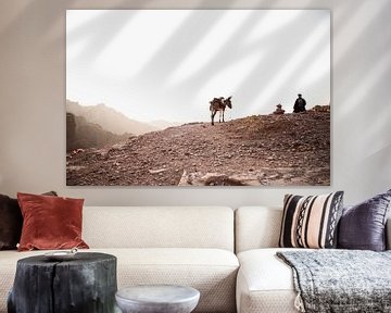 Esel bei den Beduinen von Dayenne van Peperstraten