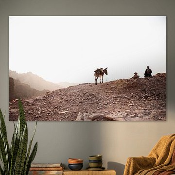 L'âne avec le bédouin