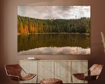 Le lac Mummelsee en Forêt-Noire sur Conny Pokorny