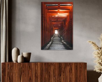 Japanese torii gates in the evening sun by Endre Lommatzsch