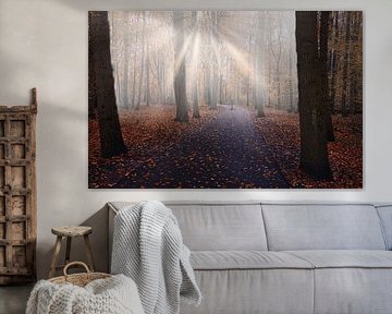 Hiker in autumn forest