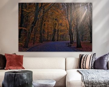 Footpath among autumn trees