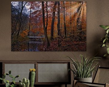 White bridge in the Amsterdam forest