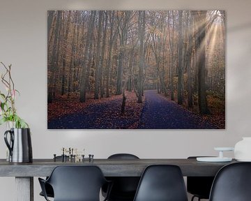2 trails in autumn by peterheinspictures