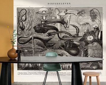 Antieke gravure Diepzeeleven. van Studio Wunderkammer