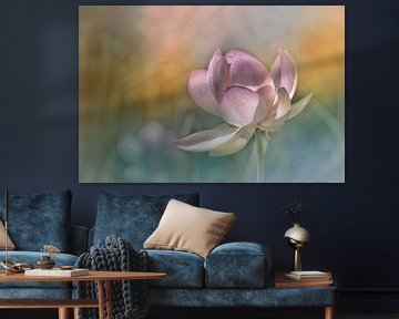 Fleur de lotus en pastel sur ahafineartimages