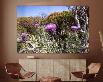 Magnifiques fleurs de chardon violet à Gramvoussa, Crète | Photographie de voyage sur Kelsey van den Bosch