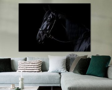 Paardenportret in Art Noir #2 van Skyfall