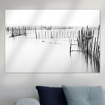 Laguna d' Albufera in Spain