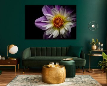 Schöne Blume in Farben von Shanna van Mens Fotografie