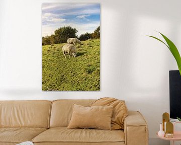 Sheep on the dike by Sarineke Daane