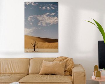 Licht und Schatten im Dodevlei in Namibia von Leen Van de Sande