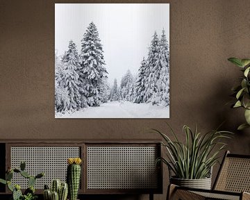 Winter in the Black Forest by Werner Dieterich