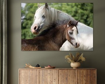 Cheval et poulain, photo de cheval pour les amoureux des chevaux sur Martijn Schrijver