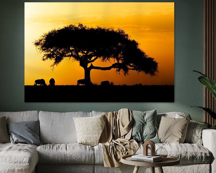 Aperçu de la chambre