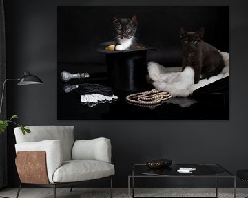 A black and a black and white kitten in a fancy stillife setting by Leoniek van der Vliet