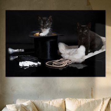 A black and a black and white kitten in a fancy stillife setting