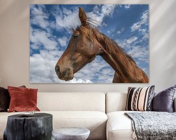 Paard portrait van Peter Beks