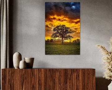 Sunset Tree von Stefan Dinse