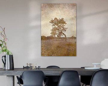 Lonely tree in the Drunense Dunes in soft pastel colours by Imaginative