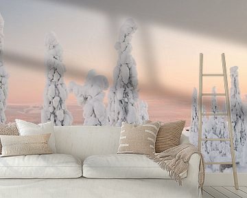 Iso Syöte - Finland - Lapland by Erik van 't Hof