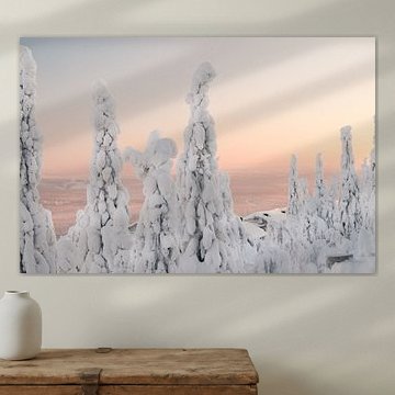 Iso Syöte - Finlande - Laponie sur Erik van 't Hof