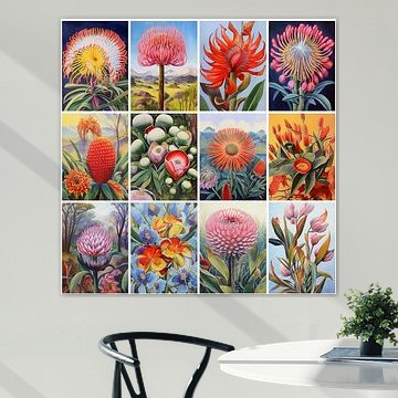 Collage de fleurs botaniques