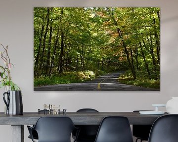 A country road in autumn by Claude Laprise