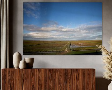 Salt marshes of the Wadden coast of Groningen by Bo Scheeringa Photography