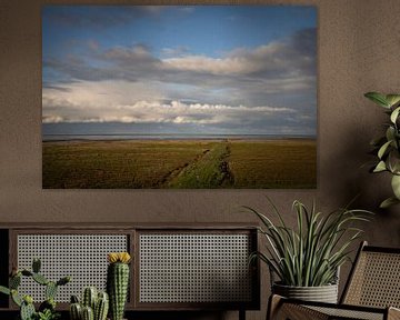 Kwelderlandschap aan de Waddenkust van Groningen