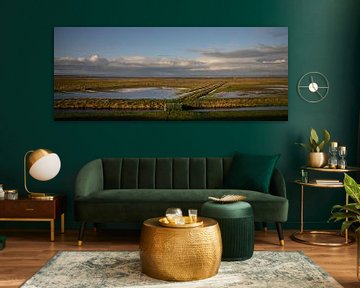 Panorama of salt marshes Wadden coast of Groningen