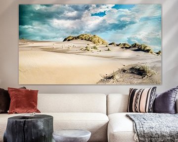 Kennemerduinen coast with beach and dunes by eric van der eijk