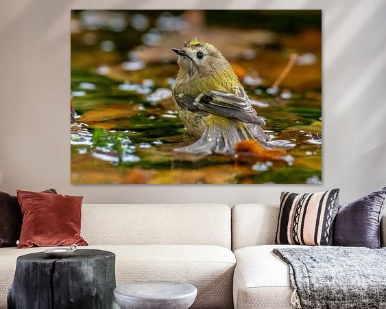 Aperçu de la chambre