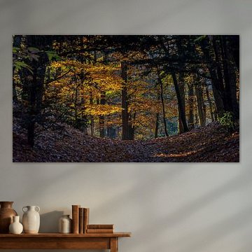 Herfst van Dirk Verwoerd