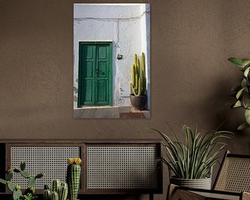 Wit huis Teguise Lanzarote met groene deur en catus in pot