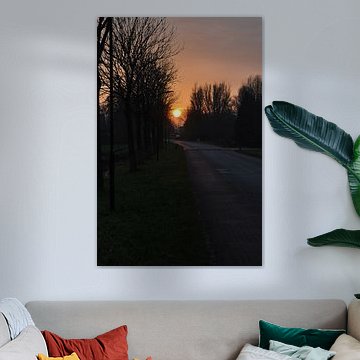 Offingawier in de avond