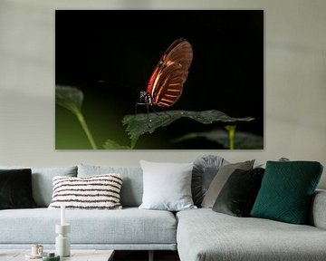 mooie vlinder van Saskia Cloo-Hartsema