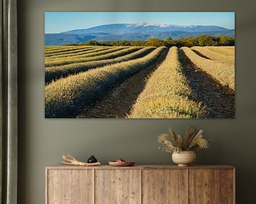 Vue sur le Mont Ventoux sur Tanja Voigt