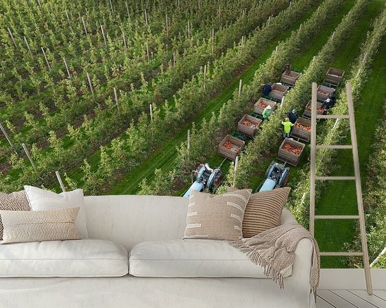 Aperçu de la chambre