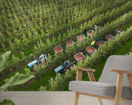 Aperçu de la chambre